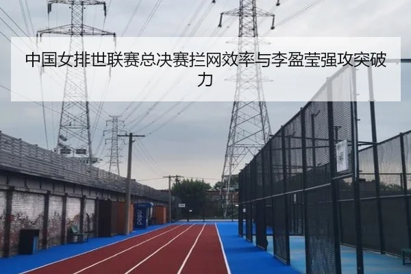 中国女排世联赛总决赛拦网效率与李盈莹强攻突破力