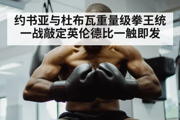 约书亚与杜布瓦重量级拳王统一战敲定英伦德比一触即发